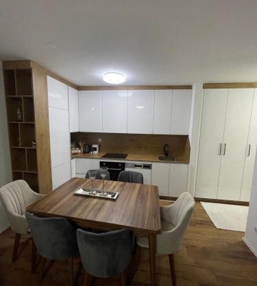 Luxury Apartment