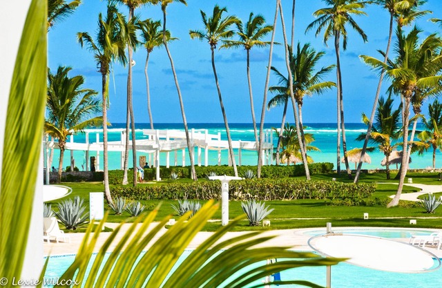Luxury Beach Front Condo with Ocean View, All the Necessary Accessories and More