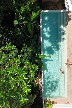 Luxury Jungle Villa with an Infinity Pool, Yoga Shala and Gym
