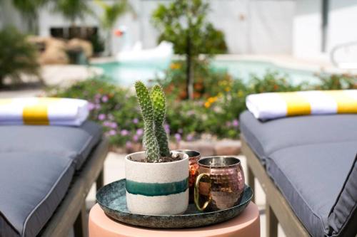 Luxury Oasis with Pool Sleeps 7 - Close to Old Town