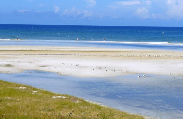 Luxury Siesta Key Beach Front Home