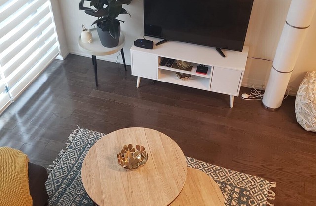 Luxury Spacious Condo Downtown