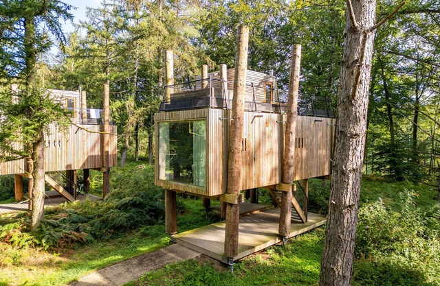 Luxury Treehouse Retreat