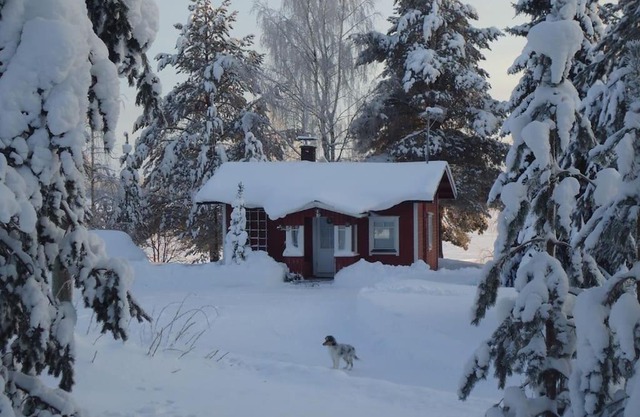 Lysti Cottage by the lake and magical countryside