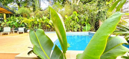 Macondo House