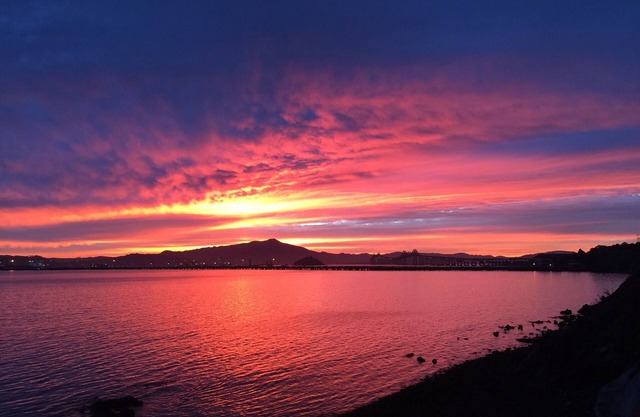 Magical SF Bay Beachfront Luxury Retreat! Spectacular Spot! Weekly Special Rates