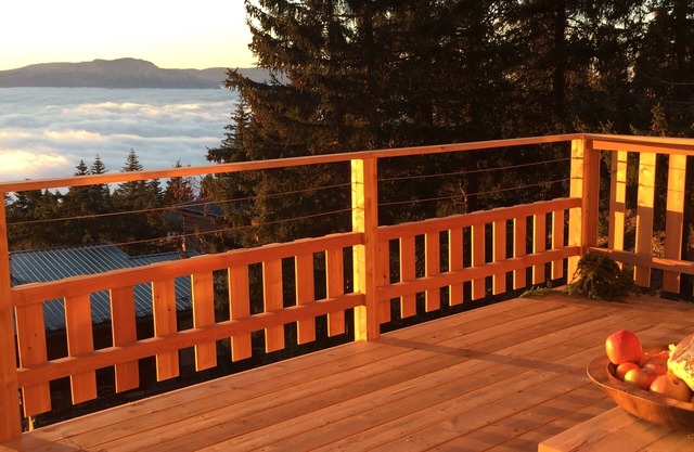 Magnificent chalet in Chamrousse 1750, sleeps 10, Nice amenities