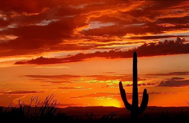 Magnificent Views - Tucson Ranch Style Home