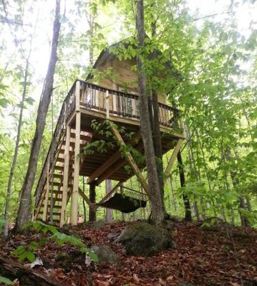 Maine Woods Treehouse-The Birdie