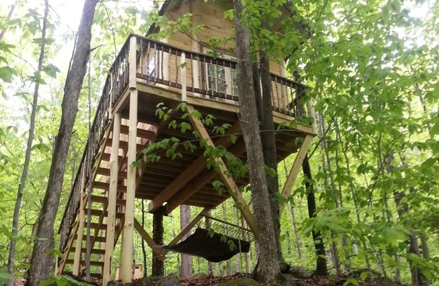 Maine Woods Treehouse-The Birdie