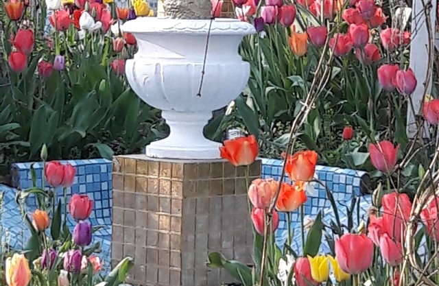 Maison Art et Jardin