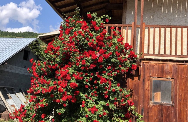Maison D'altitude Poutres et Pierre Avec vue sur la Vallée!
