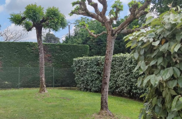 Maison en Campagne Landaise
