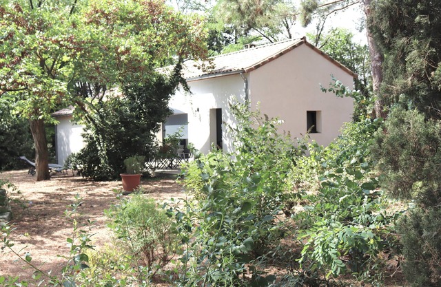 Maison Pour 4 p. Dans une Pinède D'un Mas Languedocien Avec Piscine et Jacuzzi
