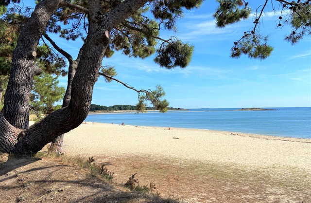 MANÉ CHEUIL - Small holiday home in La Trinité-sur-Mer, Morbihan - D4