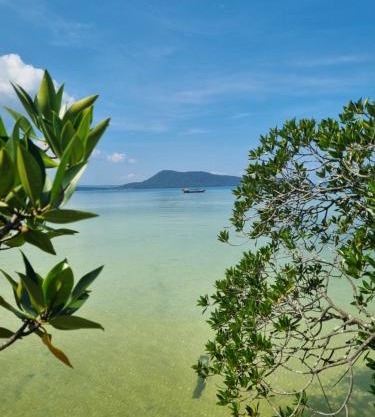 Mangrove Beach Bungalows