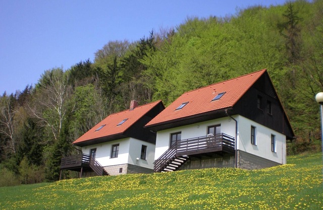 Mansion in Starkov near acitvities
