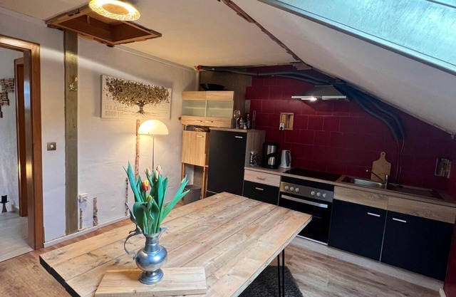 Marburg apartment spacious Lukas in a quiet location on the edge of the forest with conservatory