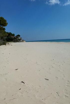 Mare a Santa Margherita