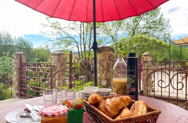 Mas Bourdaric - L'Aïgo - Gîte calme et spacieux avec accès terrasse et piscine
