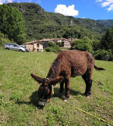 Mas La Cabanya Beget Xalet de muntanya