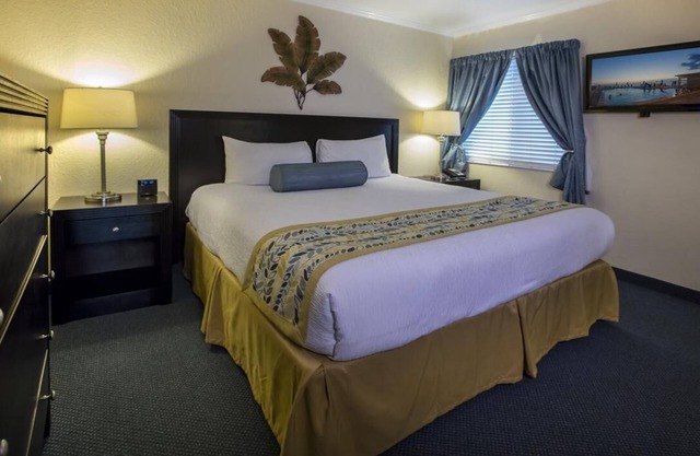 Medical Travel 2BR w/Bay View, King & Queen