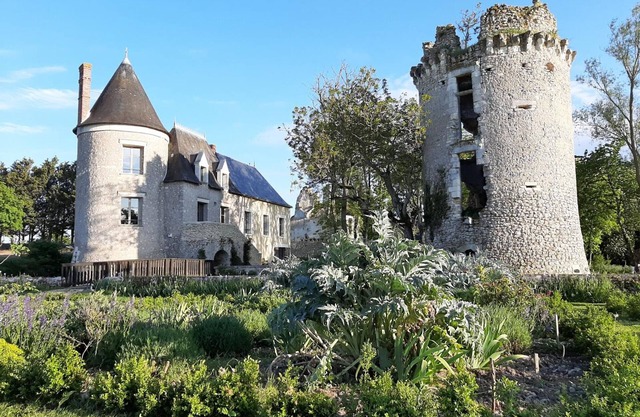 Medieval castle with private pool and garden, pets allowed