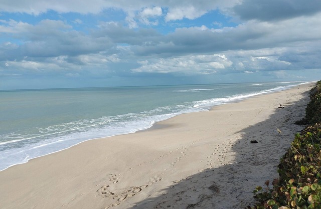 Melbourne Beach House and Basement Apt on 1.2 acres ocean front
