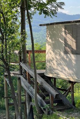 Mesteceni Glamping