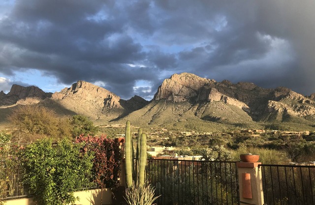 "Mid-Century Modern With Incredible Catalina Mountain&Pusch Ridge Views"