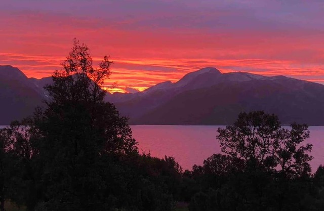 Midnight Sun Aurora