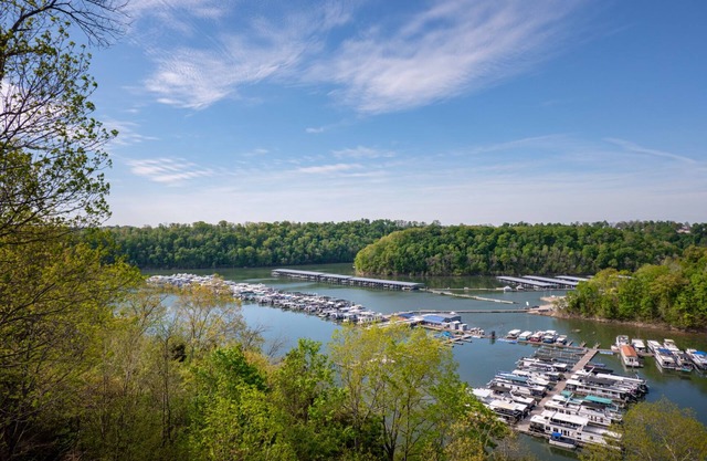 Million Dollar View! Large Lakehouse Over-Looking Lee's Ford Marina
