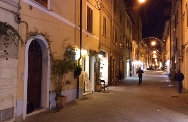 Mimosa Apartment - Old Town of Pietrasanta