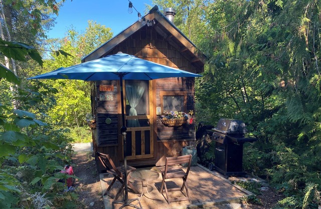 Mini solar cabin in the woods off grid glamping at its finest near Mara lake bc