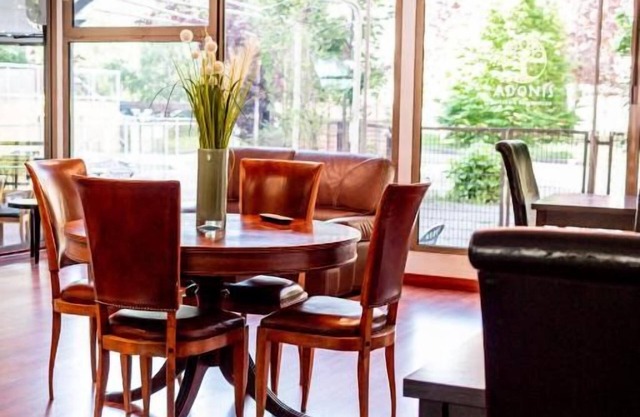 Minutes from Lauzon Ski Lift, Stay in a Pet-Friendly Hotel with On-Site Parking!