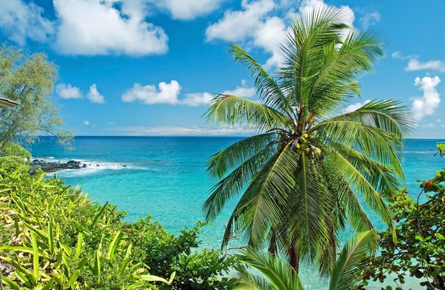MKT 233C $249 Fall Special at Cozy 2Bedroom Cottage Wailuku Town w AC Near Iao