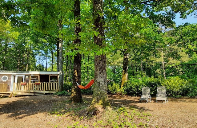 Mobil home 6 pers camping 3* sur belle parcelle au calme
