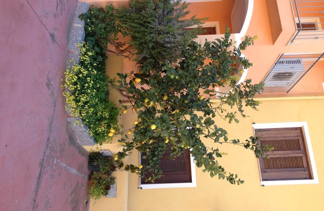 Modern 1 bed Apartment Sleep 3 sea View Only 700mt From sea