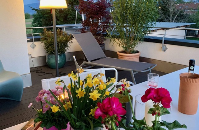 Modern 106 sqm luxury apartment with roof terrace and mountain views of the Alps