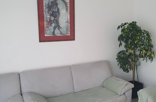 Modern apartament,to stay in and relax watching Carpathian montains.