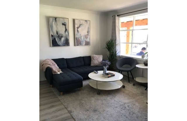 Modern Apartment in Elora-1