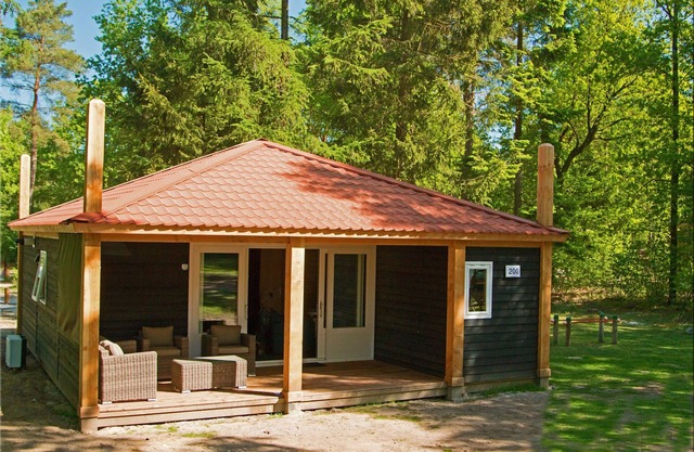 Modern Cabin-Style Bungalow