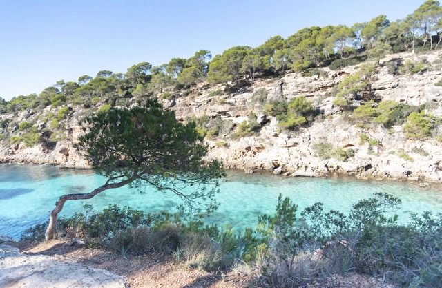 Modern finca con sea views and pool in Cala Pi