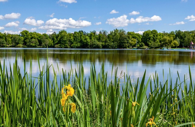 Modern, high-quality vacation apartment 'Am Stadtsee' with lake view, small private garden + Wi-fi