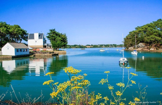 Modern house with swimming pool