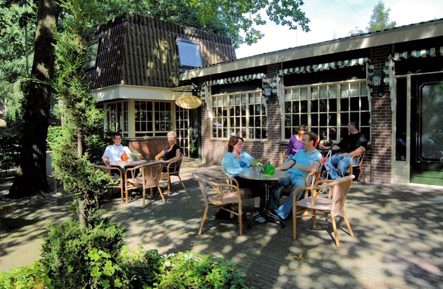 Modern lodge with air conditioning, in green Twente