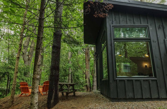 Modern, luxurious cabin in the woods - 20
