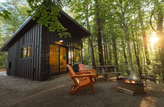 Modern, luxurious cabin in the woods - 21