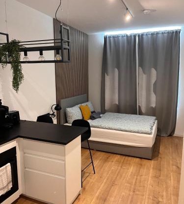 Modernes Apartment Karlsruhe