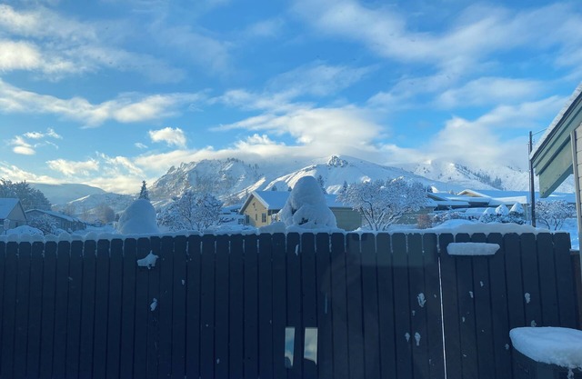 Month-to-month/transitional student/intern/professional